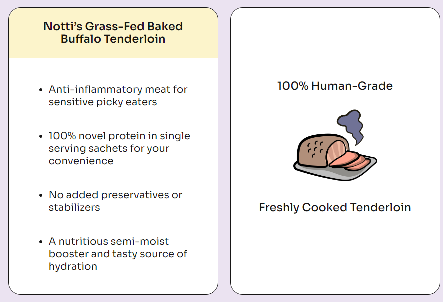 Notti Cat Dog Treats Grass Fed Baked Buffalo Beef - Baconlicious