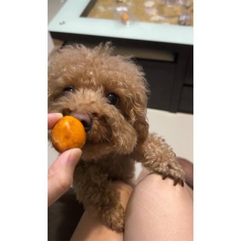 Freeze Dried Egg Yolk - Baconlicious