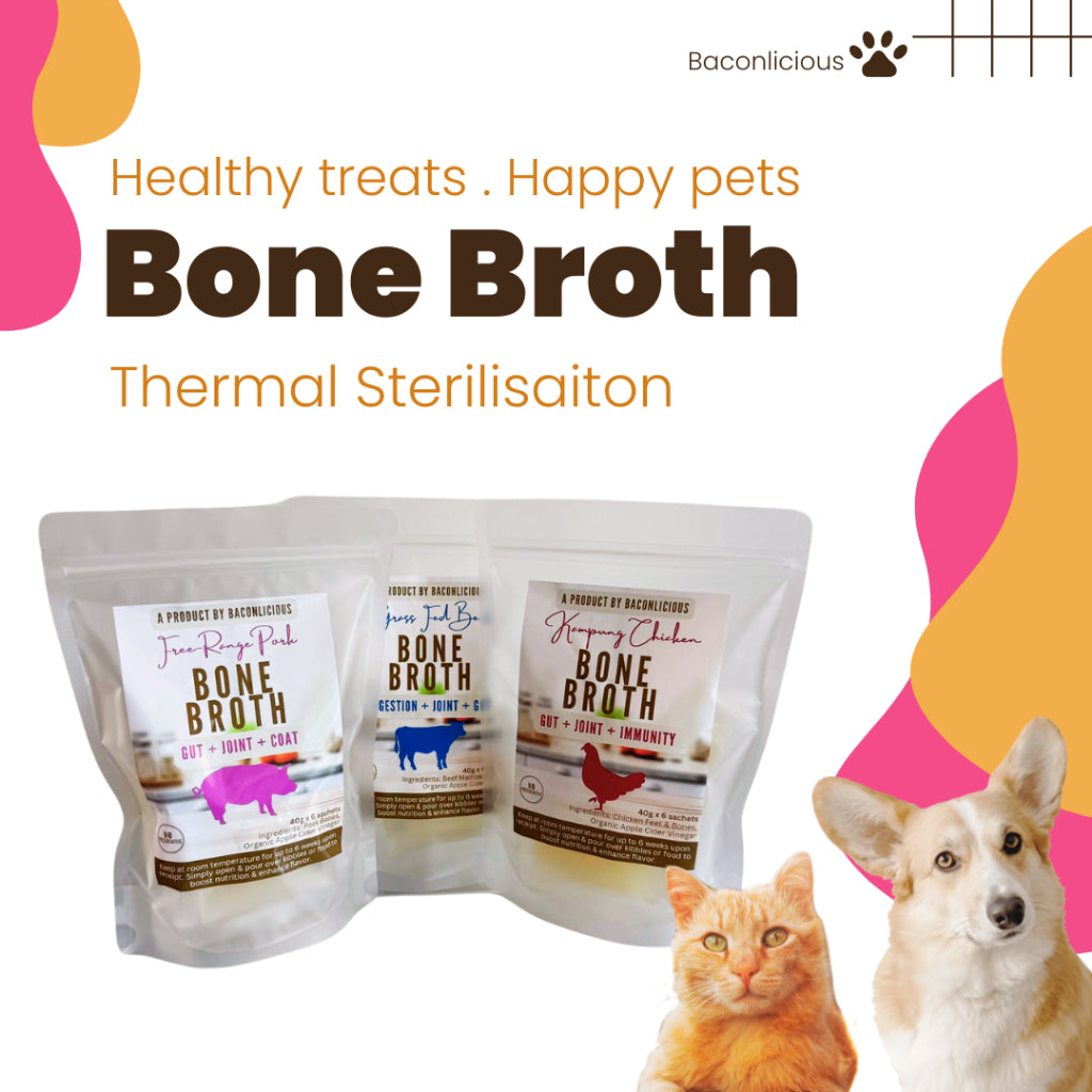 Bone Broth Can You Feed Pork Bones To Dogs Chicken Broth Can You Feed Dogs Pork Bones Bone Broth For Cats And
