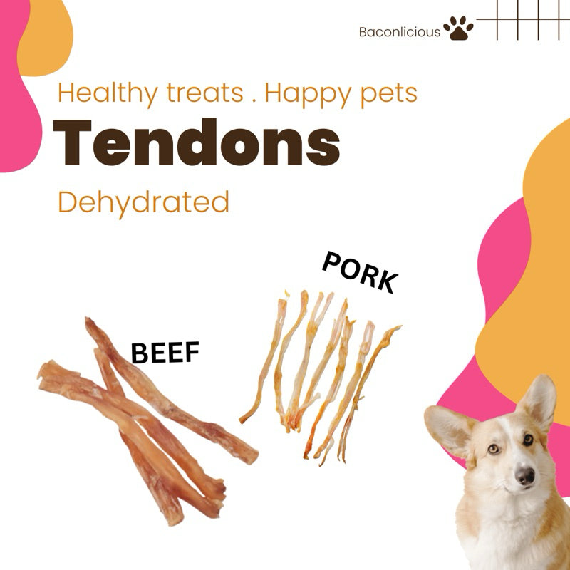 Dehydrated Beef / Pork Tendon