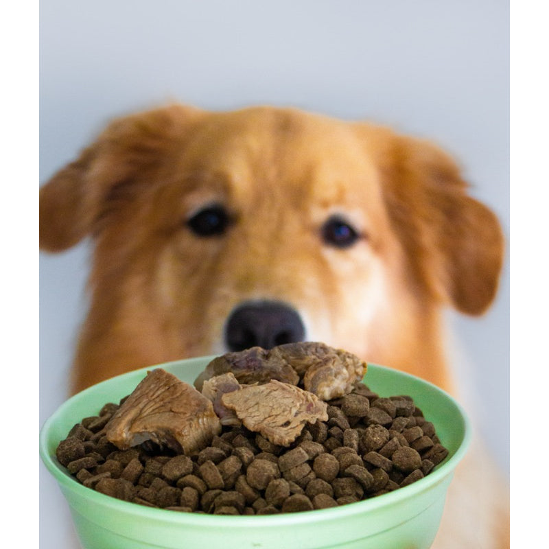 Notti Cat Dog Treats Grass Fed Baked Buffalo Beef - Baconlicious