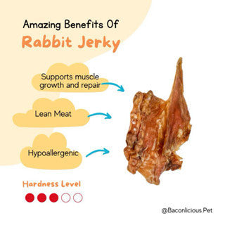 Dehydrated Rabbit Ears (Choice of Fur and No Fur)