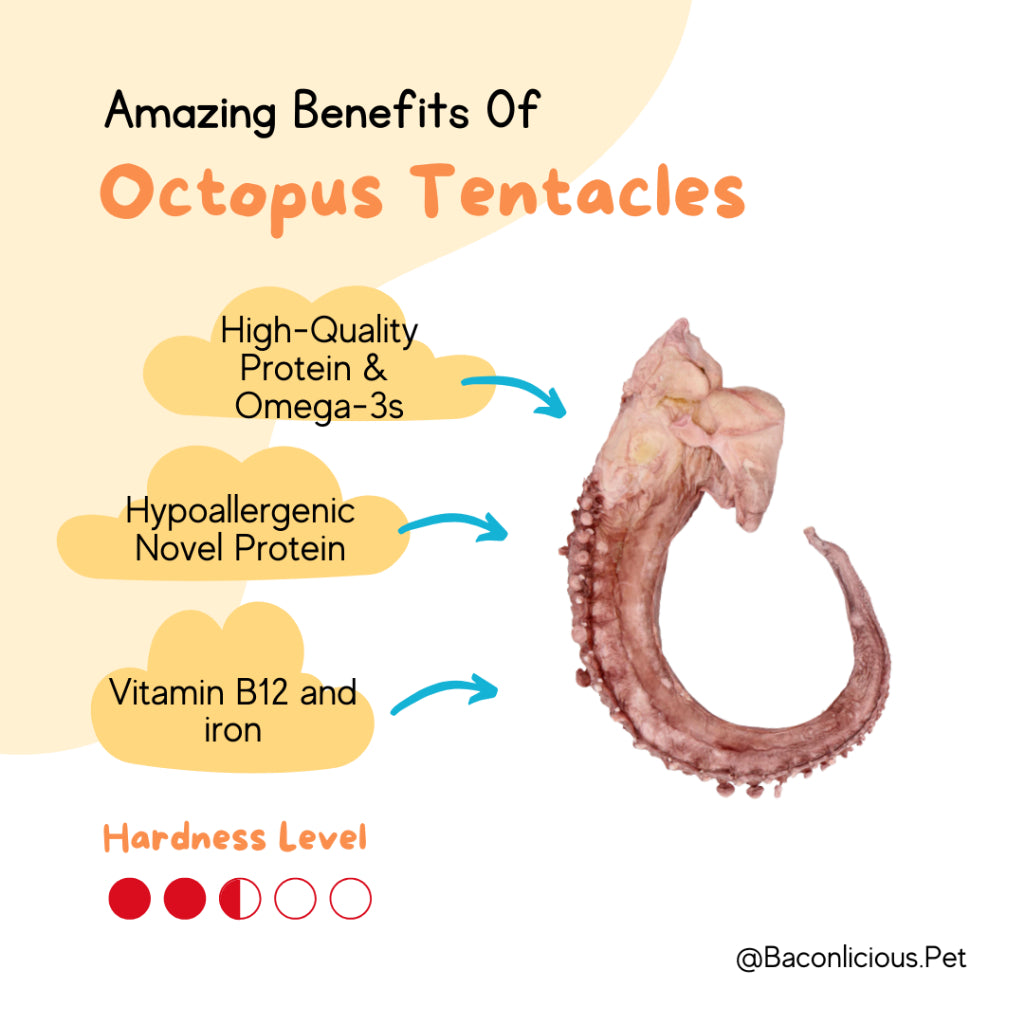 Freeze-dried Octopus tentacles