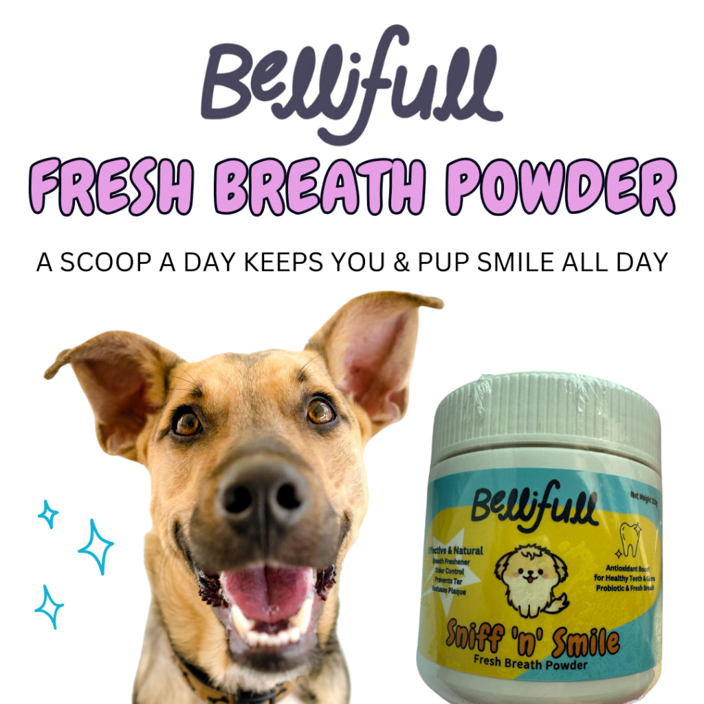BelliFull Fresh Breath Powder 120g. Odor Control. Breath Freshener. Prevents Tar. Reduces Plaque