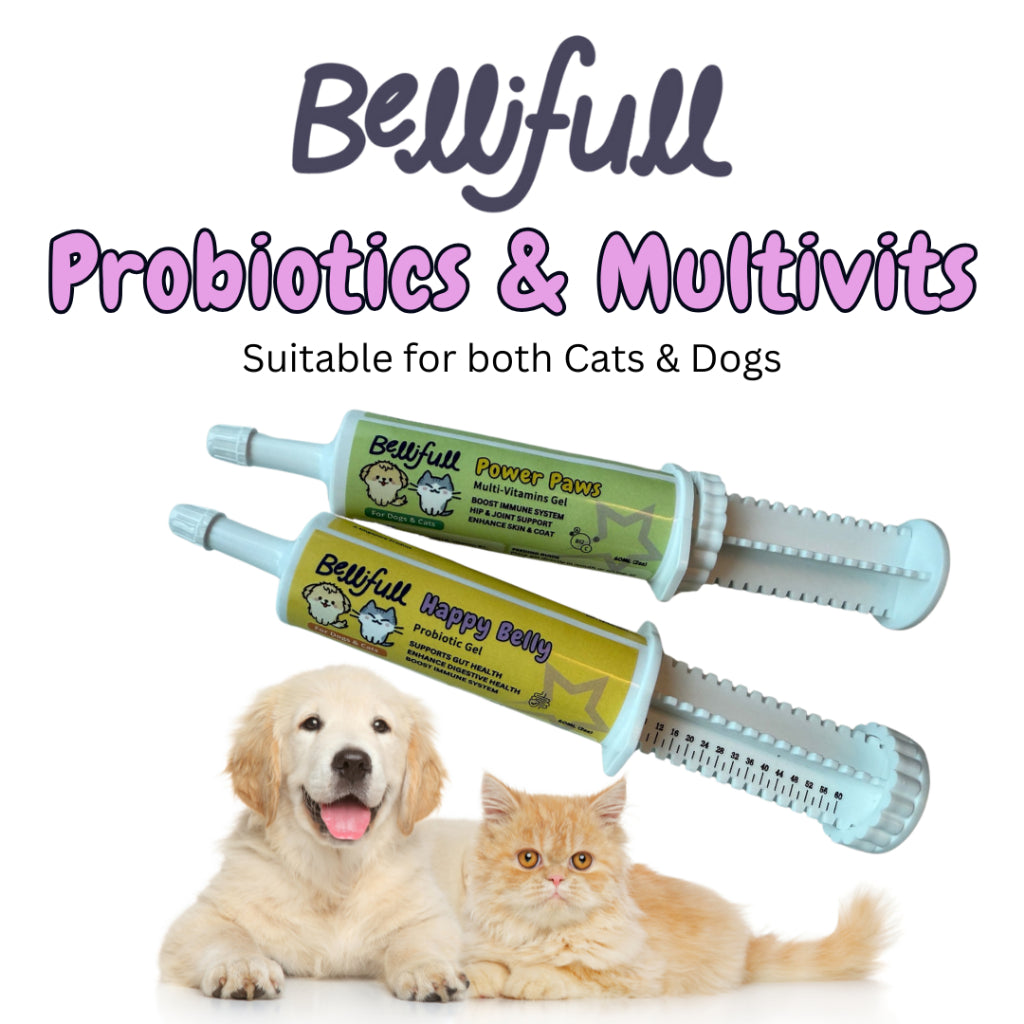 BelliFull Probiotics 60ml Multi-vitamins Gel 60ml