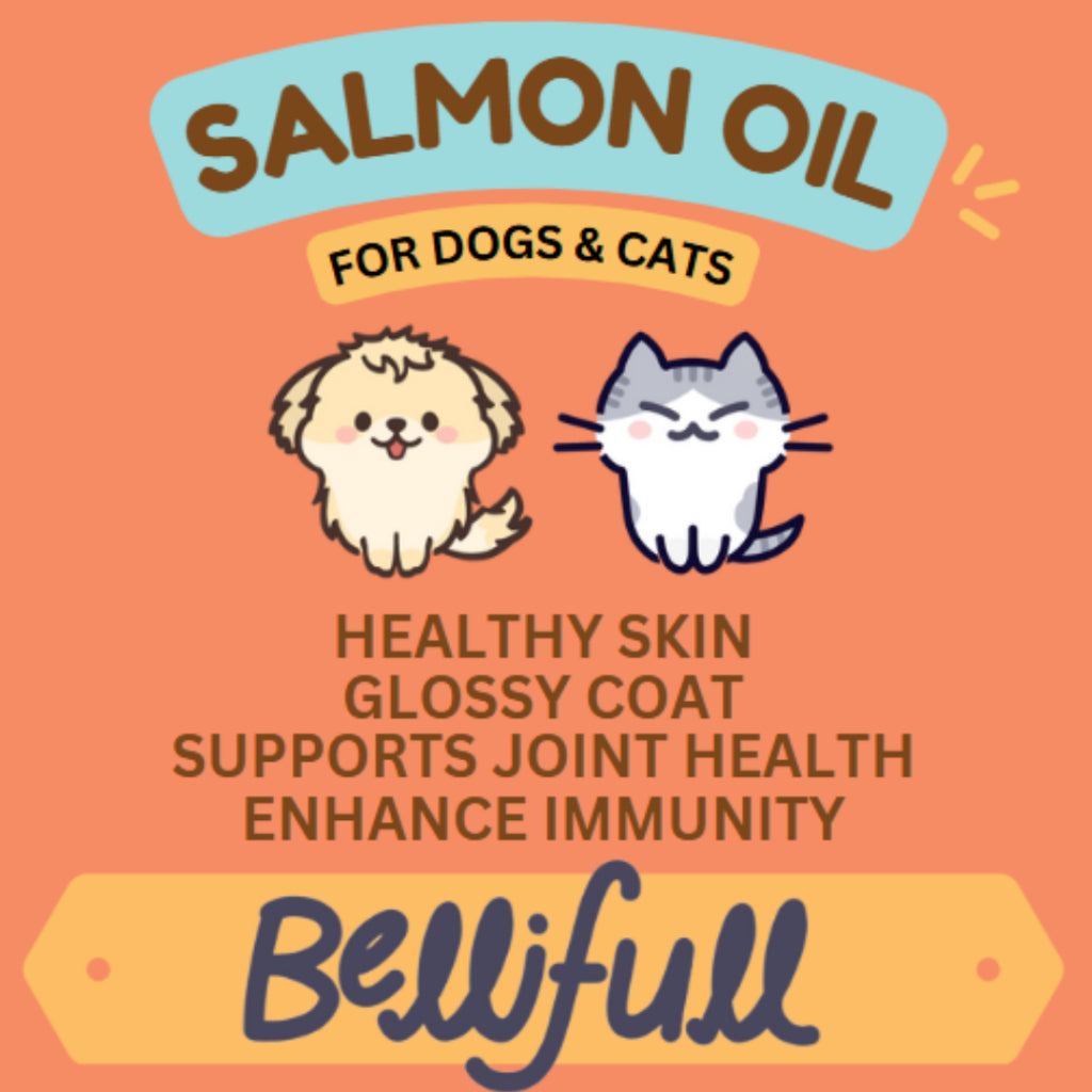 BelliFull Wild Alaskan Salmon Oil for Cats and Dogs (250ml)