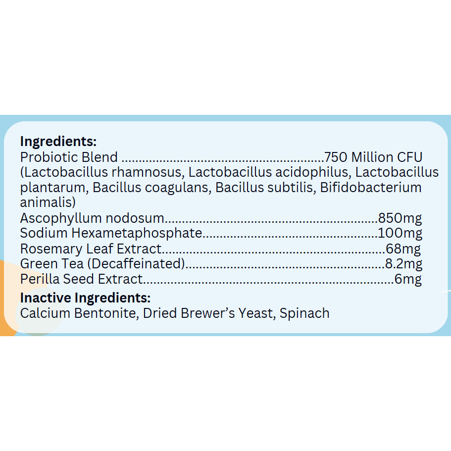 BelliFull Fresh Breath Powder 120g. Odor Control. Breath Freshener. Prevents Tar. Reduces Plaque