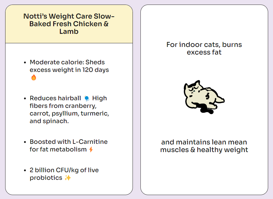 Notti Cat Kibbles Slow-baked Fresh Chicken & Lamb - Baconlicious