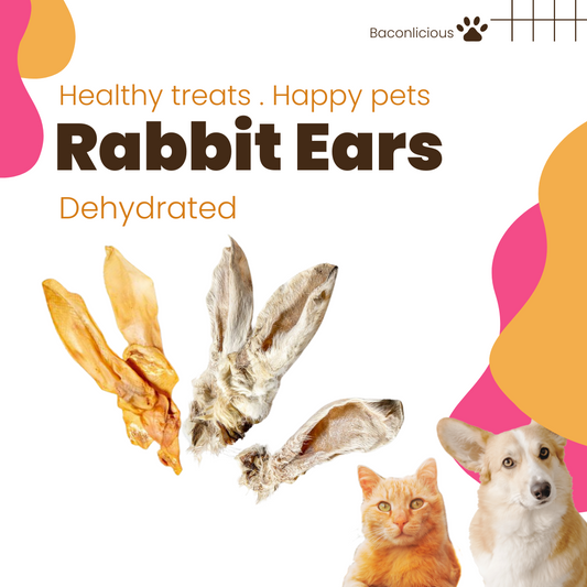 Dehydrated Rabbit Ears (Choice of Fur and No Fur)