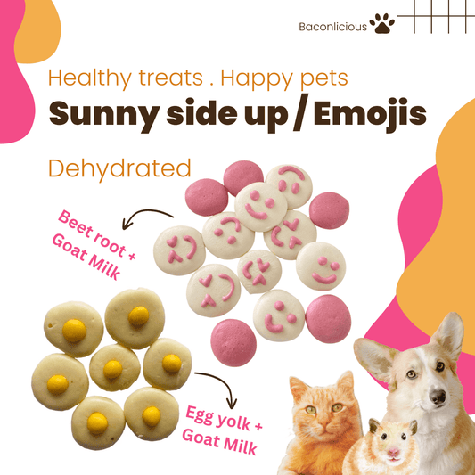 Goat Milk Treats - Sunny Side Up, Emojis - Baconlicious