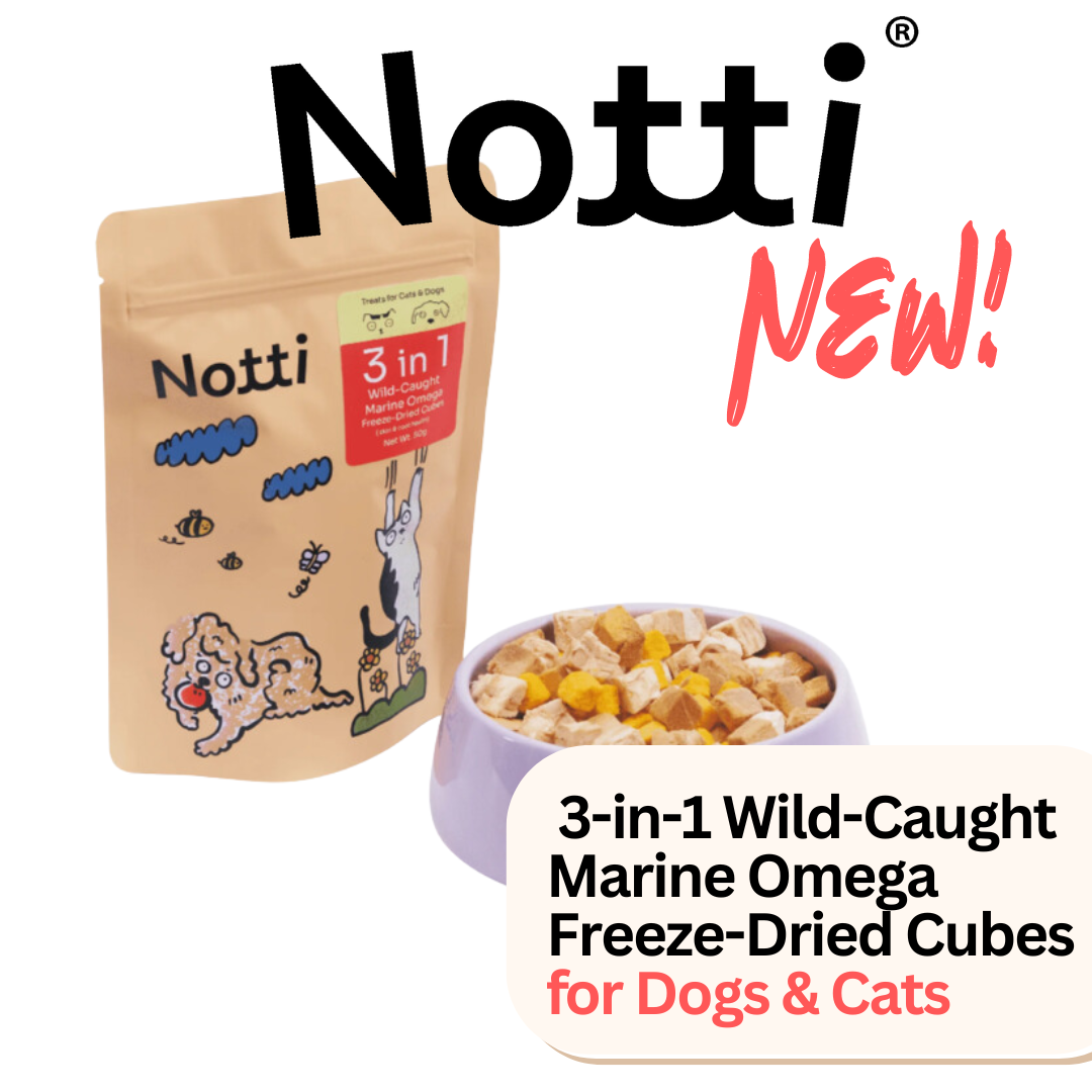 Notti Cat Treats Dog Treats 3-in-1 Wild-Caught Marine Omega Freeze-Dried Cubes - Baconlicious