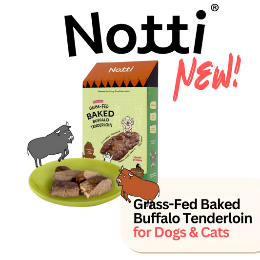 Notti Cat Dog Treats Grass Fed Baked Buffalo Beef - Baconlicious