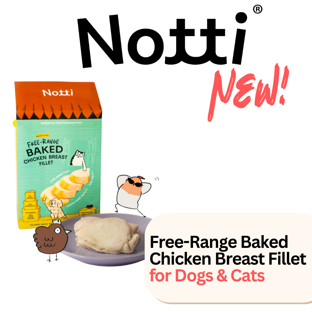 Notti Cat Dog Treats Baked Chicken Breast Fillet Cat treats Dog treats - Baconlicious