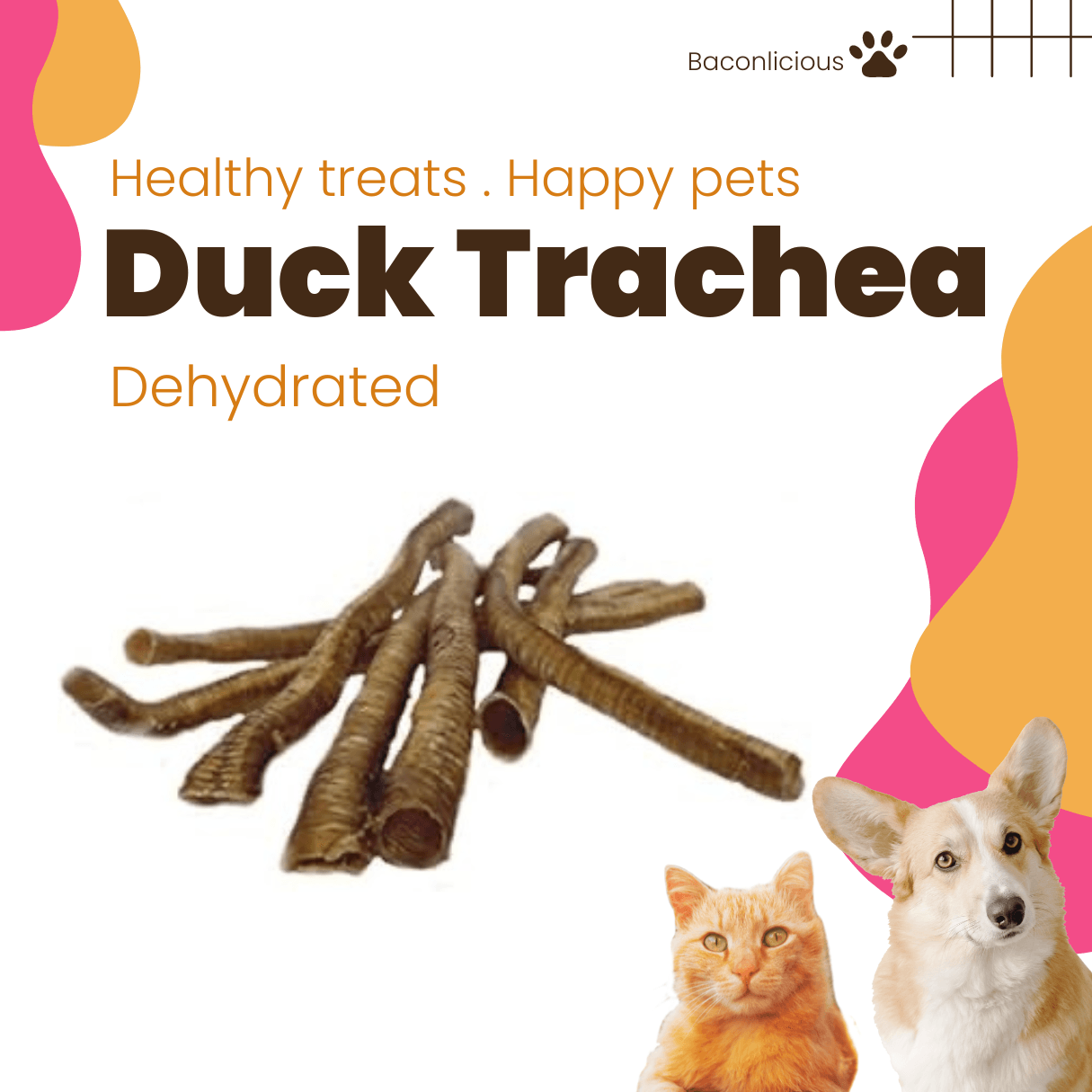 Dehydrated Duck Trachea - Baconlicious