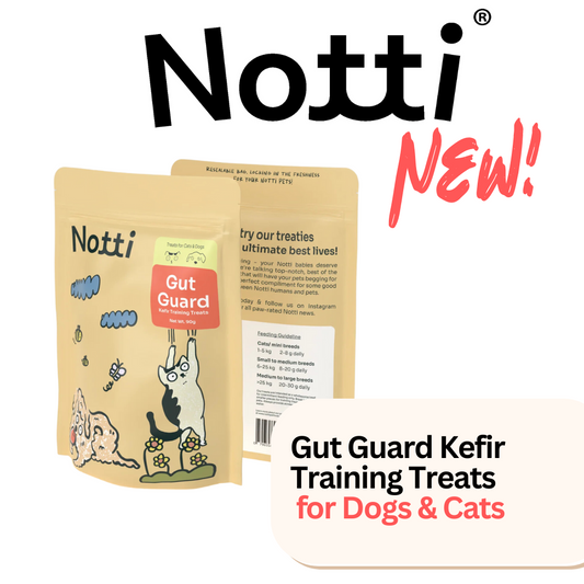 Notti Gut Guard Kefir Training Treats for Cats and Dogs - Baconlicious