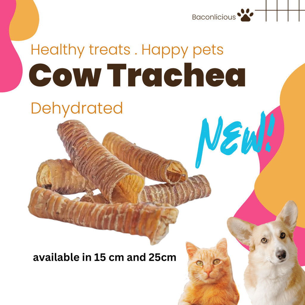 Cow Trachea, Dental Chew, Dog Treats - Baconlicious