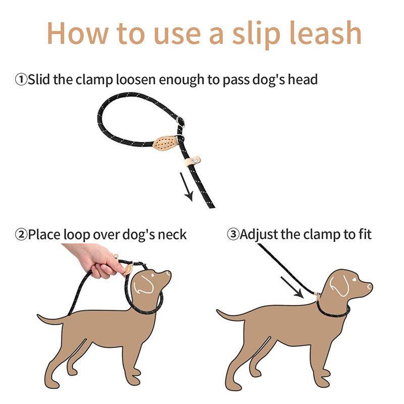 Dog Leash - Baconlicious