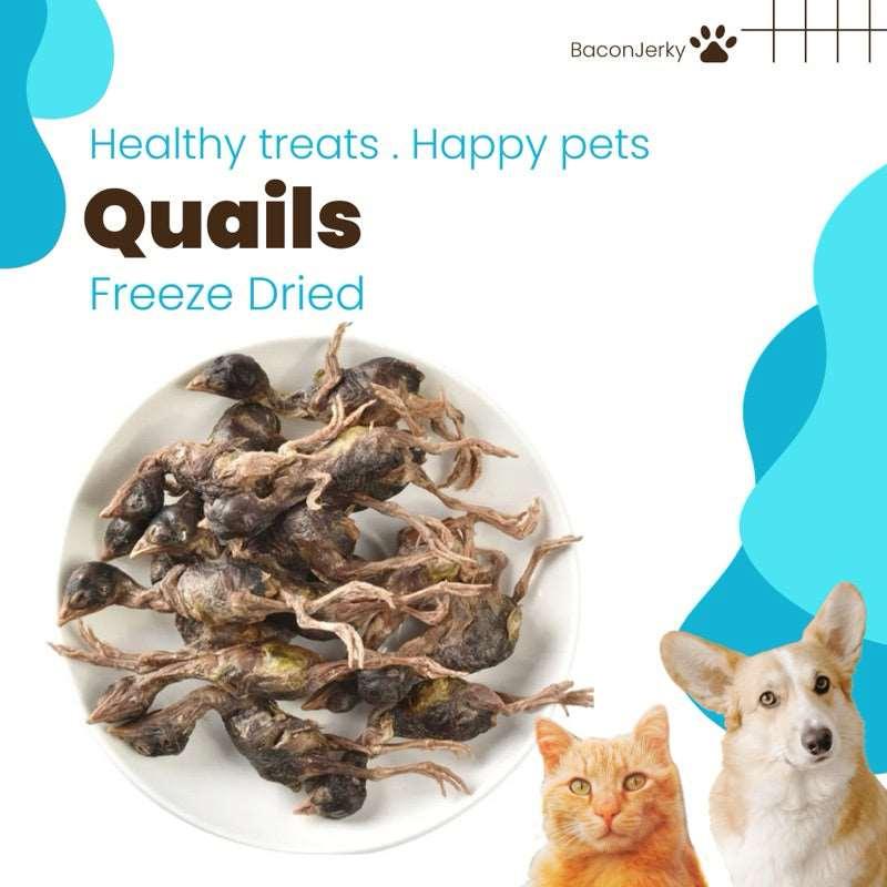 🐦Freeze Dried Quails - Baconlicious