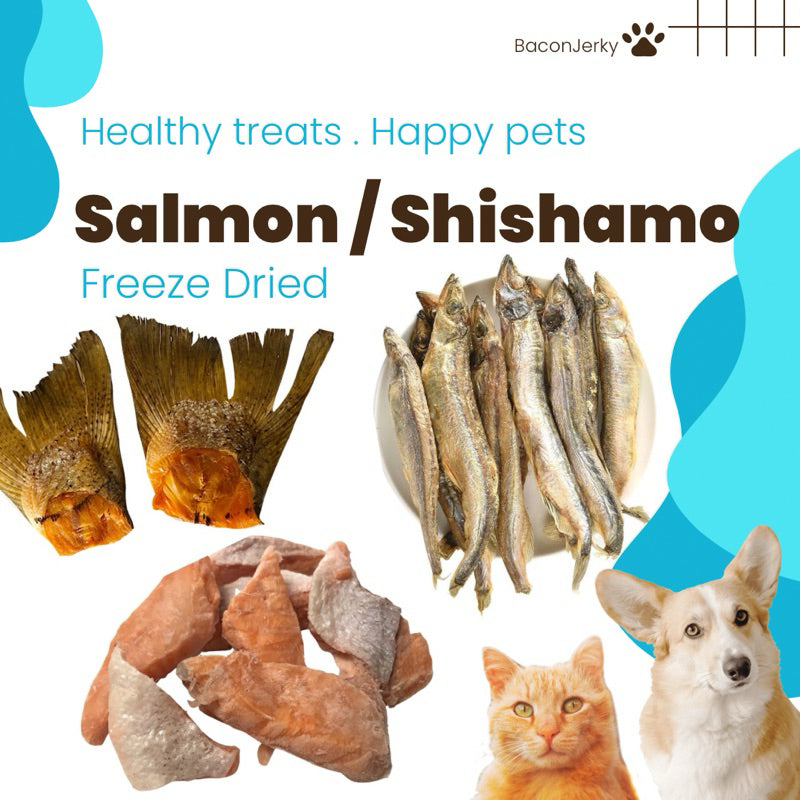 Freeze Dried Fish Treats. Salmon, Cod Fish, Shishamo. Cat Treats Dog Treats - Baconlicious