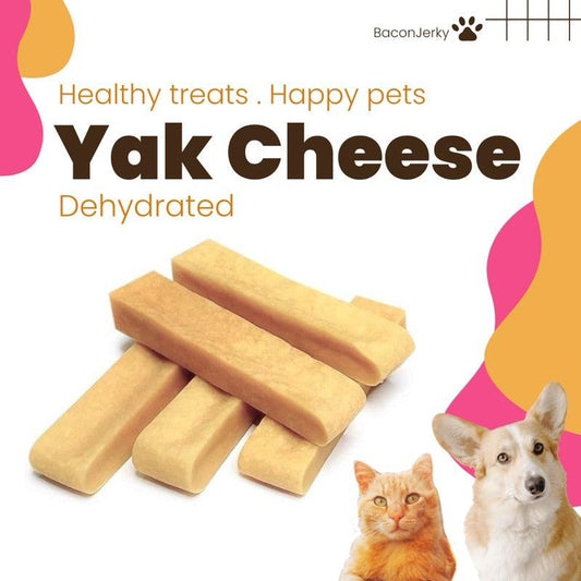 Yak Milk Cheese Dental Chew - Baconlicious