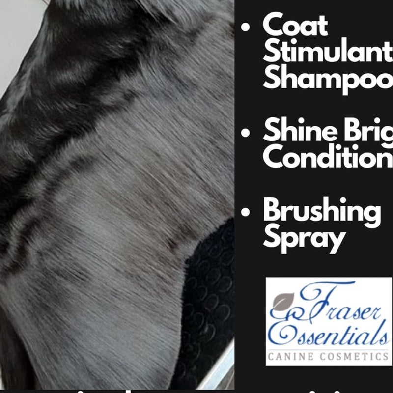 FRASER ESSENTIALS CANINE COSMETICS - Coat Stimulant Shampoo - Baconlicious