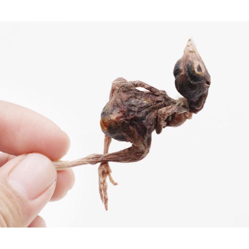 🐦Freeze Dried Quails - Baconlicious