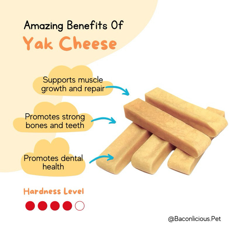 Yak Cheese Dental Chew
