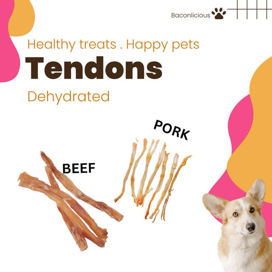 Dehydrated Beef / Pork Tendon