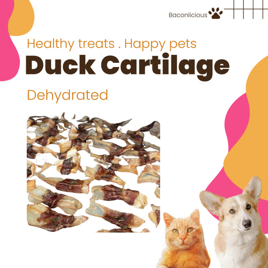 Duck Cartilage, Duck Jerky, Duck Treats