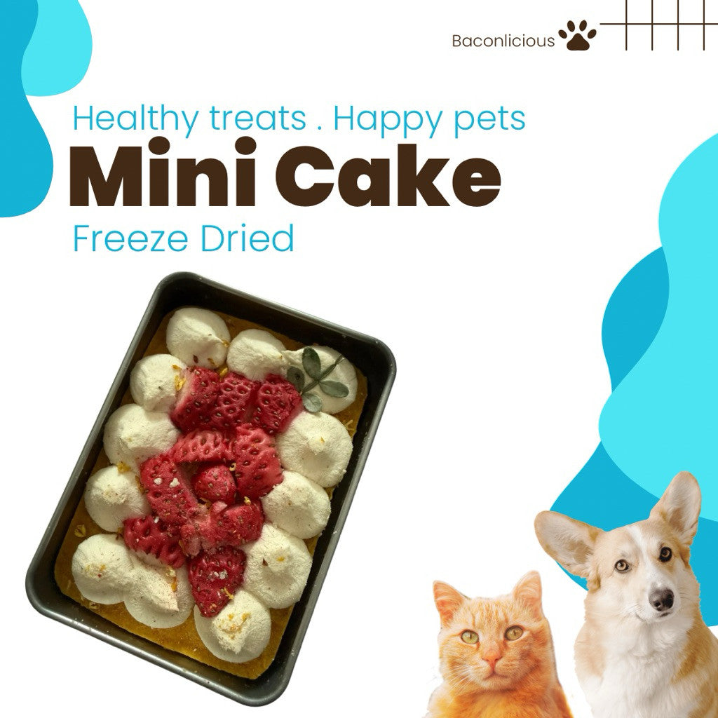 Freeze dried mini pork cake for pets