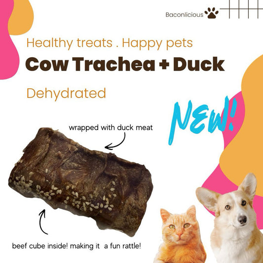 Cow Trachea with duck meat.