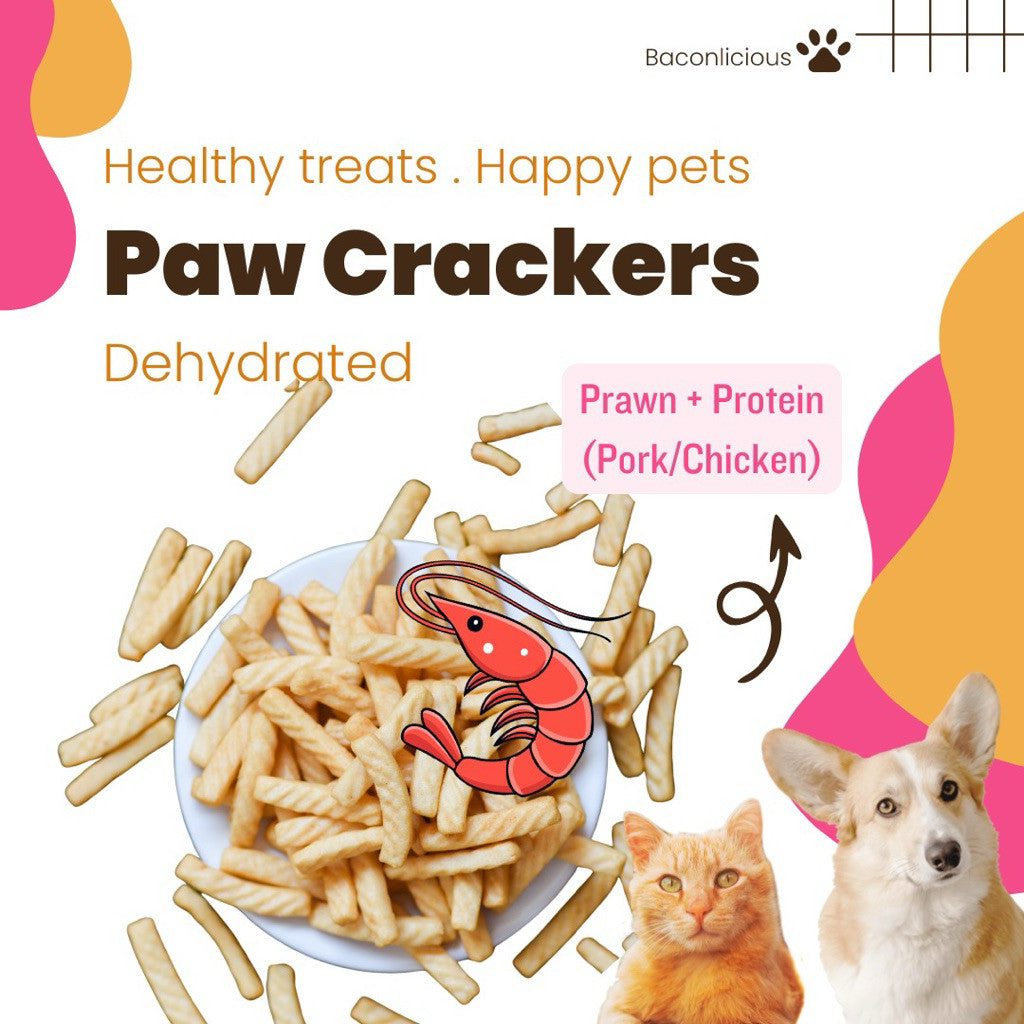 Paw-cracker for pets. Dog snacks. Cat snacks